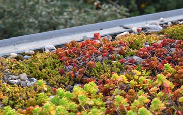 the cost of Traprain green roof installation