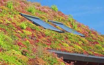 Traprain living roof systems