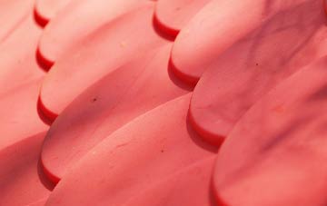 Traprain plastic roof costs