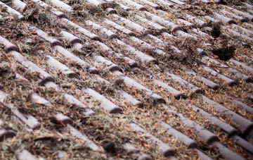 Traprain roof cleaning companies