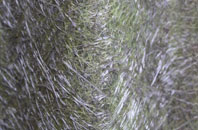 Traprain fibreglass roof work